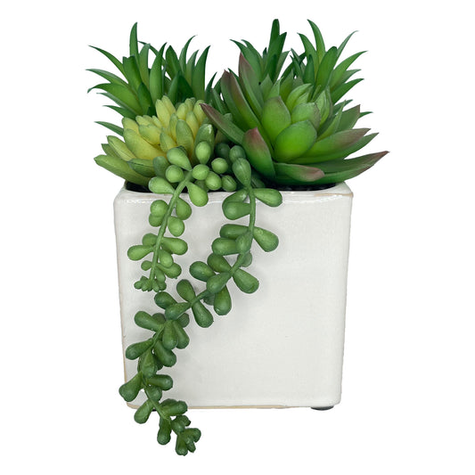 4" (Tall) Green Cactus with Vine Artificial Plant with Square Ceramic Planter