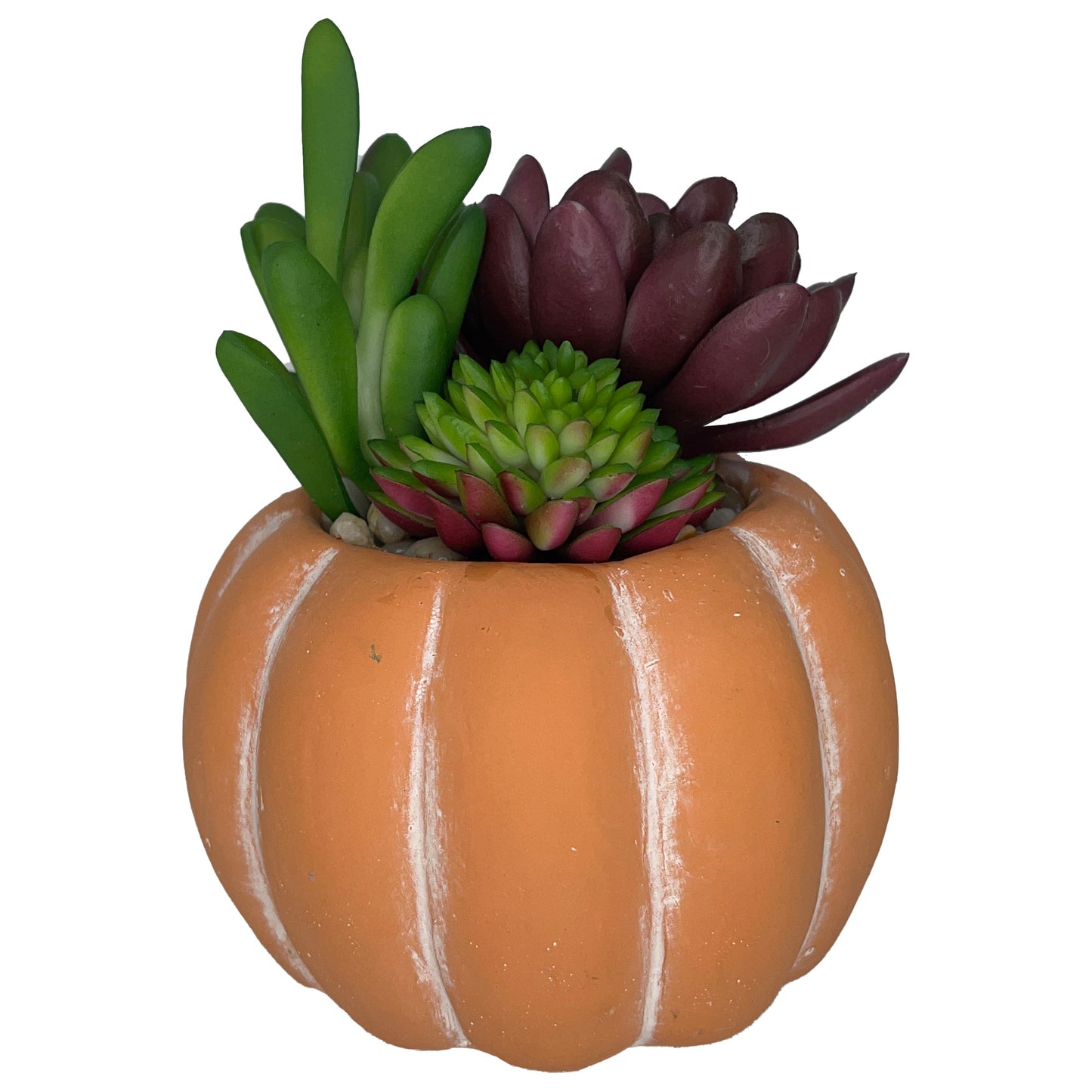 6" (Tall) Green Cactus Plant with Ceramic Pumpkin Planter