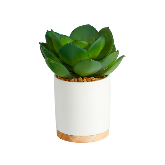 6" (Tall) Green Cactus in White Ceramic Planter with Bottom Wood Trim