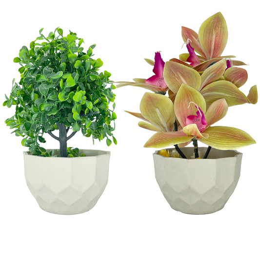 Sprawly - 2-Pack Small Artificial Green and Dark Yellow/Purple Assorted Plants with Dodecagon Planter