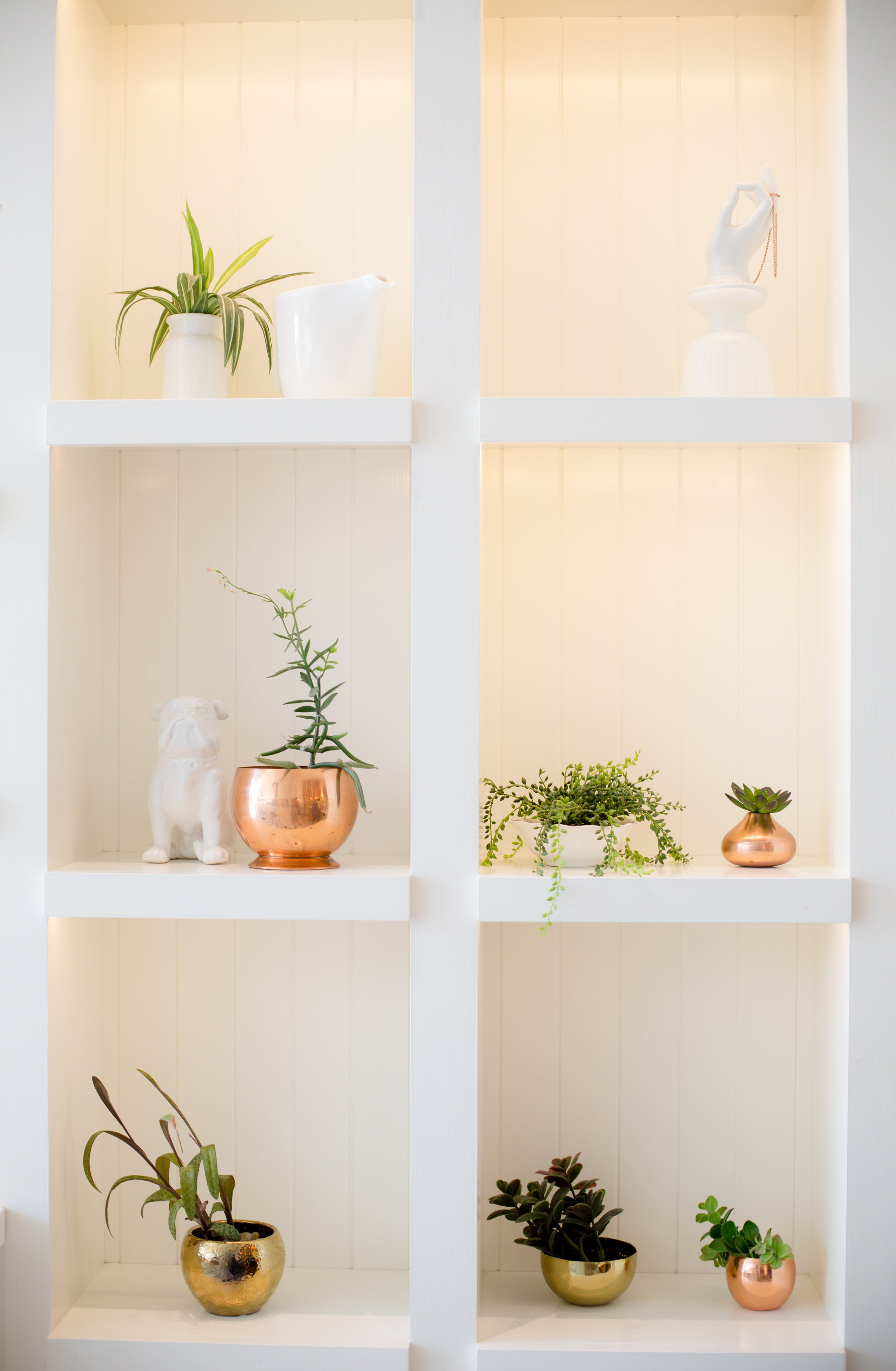 Bookshelf with decorations