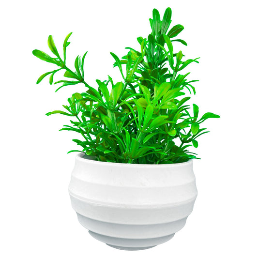 5" (Tall) Green Plant with Ridged-Rounded Planter