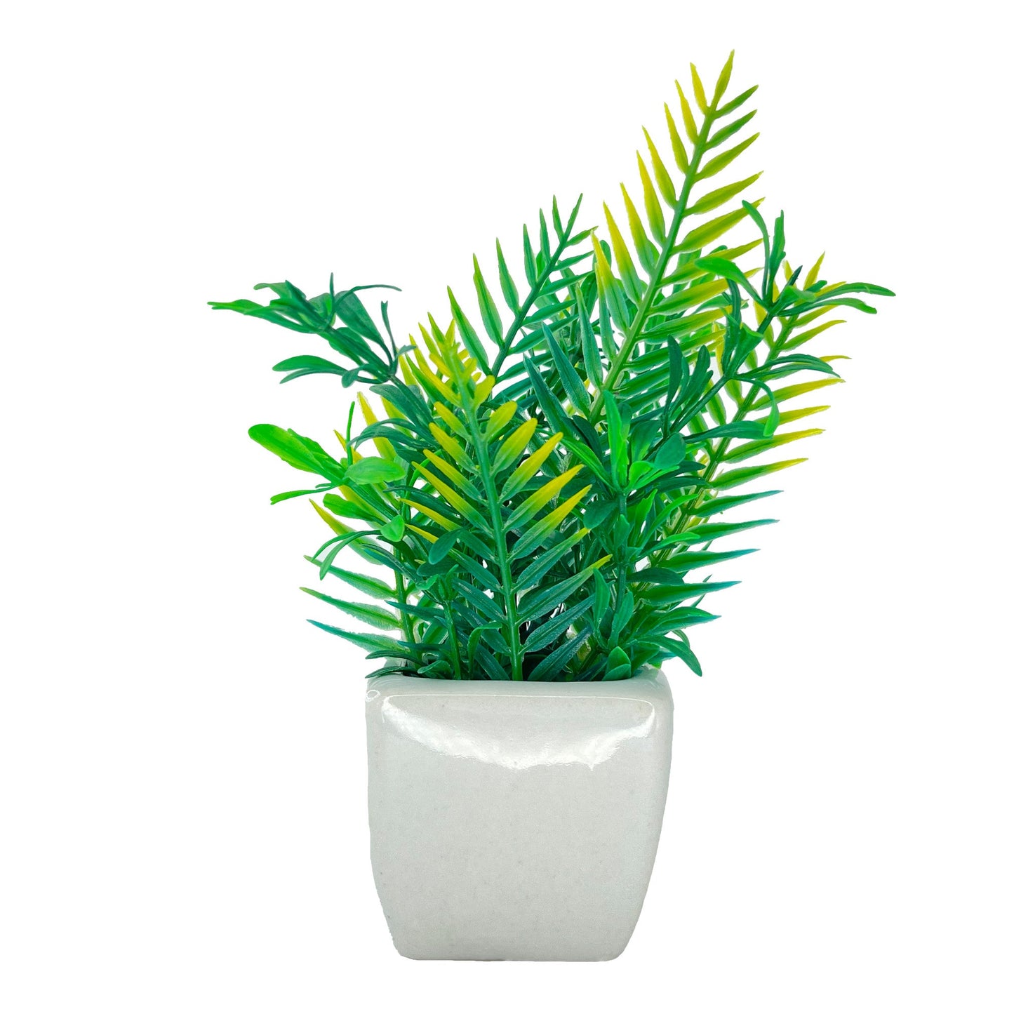 6" (Tall) Green and Yellow-Tipped Plant with Square Ceramic Planter